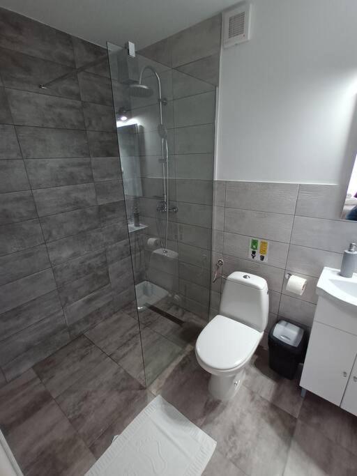 Old Town Studio 1 Apartment Nr 4 Бая-Маре Экстерьер фото