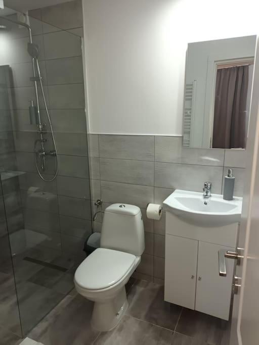 Old Town Studio 1 Apartment Nr 4 Бая-Маре Экстерьер фото
