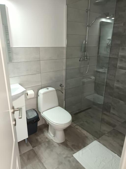 Old Town Studio 1 Apartment Nr 4 Бая-Маре Экстерьер фото